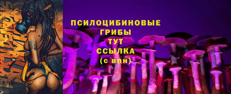 Псилоцибиновые грибы Psilocybine cubensis  Белинский 